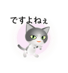 色々な猫6-1 短毛-立ち耳-グレー白（個別スタンプ：23）