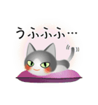 色々な猫6-1 短毛-立ち耳-グレー白（個別スタンプ：25）