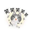 色々な猫6-1 短毛-立ち耳-グレー白（個別スタンプ：26）