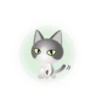 色々な猫6-1 短毛-立ち耳-グレー白（個別スタンプ：37）