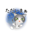色々な猫6-1 短毛-立ち耳-グレー白（個別スタンプ：38）