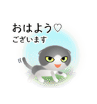 色々な猫6-2 短毛-垂れ耳-グレー白（個別スタンプ：1）