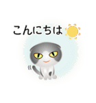 色々な猫6-2 短毛-垂れ耳-グレー白（個別スタンプ：5）