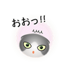 色々な猫6-2 短毛-垂れ耳-グレー白（個別スタンプ：10）
