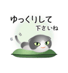 色々な猫6-2 短毛-垂れ耳-グレー白（個別スタンプ：12）