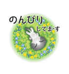 色々な猫6-2 短毛-垂れ耳-グレー白（個別スタンプ：19）