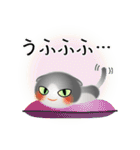 色々な猫6-2 短毛-垂れ耳-グレー白（個別スタンプ：25）