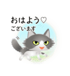 色々な猫6-3 長毛-立ち耳-グレー白（個別スタンプ：1）