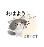 色々な猫6-3 長毛-立ち耳-グレー白（個別スタンプ：2）
