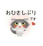 色々な猫6-3 長毛-立ち耳-グレー白（個別スタンプ：3）