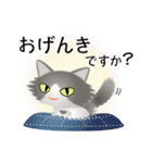 色々な猫6-3 長毛-立ち耳-グレー白（個別スタンプ：4）