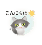 色々な猫6-3 長毛-立ち耳-グレー白（個別スタンプ：5）