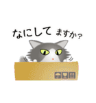 色々な猫6-3 長毛-立ち耳-グレー白（個別スタンプ：8）
