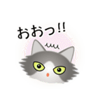 色々な猫6-3 長毛-立ち耳-グレー白（個別スタンプ：10）