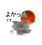 色々な猫6-3 長毛-立ち耳-グレー白（個別スタンプ：11）