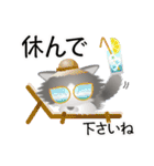 色々な猫6-3 長毛-立ち耳-グレー白（個別スタンプ：13）