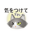 色々な猫6-3 長毛-立ち耳-グレー白（個別スタンプ：14）