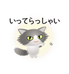 色々な猫6-3 長毛-立ち耳-グレー白（個別スタンプ：15）