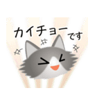 色々な猫6-3 長毛-立ち耳-グレー白（個別スタンプ：17）