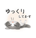 色々な猫6-3 長毛-立ち耳-グレー白（個別スタンプ：18）