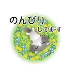 色々な猫6-3 長毛-立ち耳-グレー白（個別スタンプ：19）