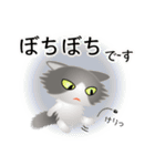 色々な猫6-3 長毛-立ち耳-グレー白（個別スタンプ：20）
