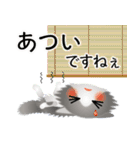 色々な猫6-3 長毛-立ち耳-グレー白（個別スタンプ：21）