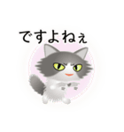 色々な猫6-3 長毛-立ち耳-グレー白（個別スタンプ：23）
