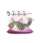 色々な猫6-3 長毛-立ち耳-グレー白（個別スタンプ：25）