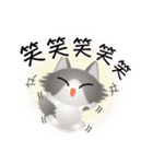 色々な猫6-3 長毛-立ち耳-グレー白（個別スタンプ：26）