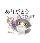 色々な猫6-3 長毛-立ち耳-グレー白（個別スタンプ：31）