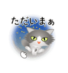 色々な猫6-3 長毛-立ち耳-グレー白（個別スタンプ：38）