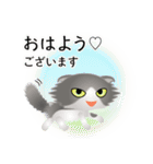 色々な猫6-4 長毛-垂れ耳-グレー白（個別スタンプ：1）
