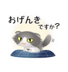 色々な猫6-4 長毛-垂れ耳-グレー白（個別スタンプ：4）