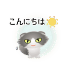 色々な猫6-4 長毛-垂れ耳-グレー白（個別スタンプ：5）