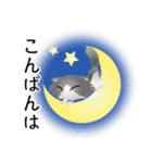 色々な猫6-4 長毛-垂れ耳-グレー白（個別スタンプ：7）