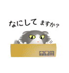 色々な猫6-4 長毛-垂れ耳-グレー白（個別スタンプ：8）