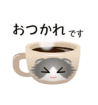 色々な猫6-4 長毛-垂れ耳-グレー白（個別スタンプ：9）