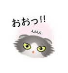 色々な猫6-4 長毛-垂れ耳-グレー白（個別スタンプ：10）