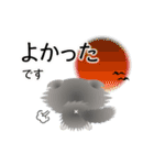 色々な猫6-4 長毛-垂れ耳-グレー白（個別スタンプ：11）