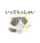 色々な猫6-4 長毛-垂れ耳-グレー白（個別スタンプ：15）