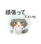 色々な猫6-4 長毛-垂れ耳-グレー白（個別スタンプ：16）