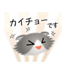 色々な猫6-4 長毛-垂れ耳-グレー白（個別スタンプ：17）