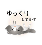 色々な猫6-4 長毛-垂れ耳-グレー白（個別スタンプ：18）