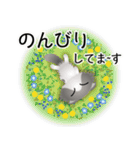 色々な猫6-4 長毛-垂れ耳-グレー白（個別スタンプ：19）