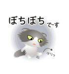 色々な猫6-4 長毛-垂れ耳-グレー白（個別スタンプ：20）