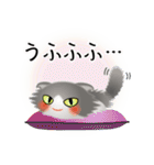 色々な猫6-4 長毛-垂れ耳-グレー白（個別スタンプ：25）