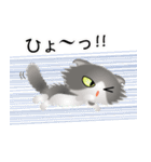 色々な猫6-4 長毛-垂れ耳-グレー白（個別スタンプ：34）
