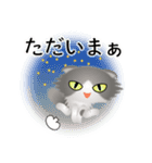 色々な猫6-4 長毛-垂れ耳-グレー白（個別スタンプ：38）