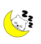 【毎日使える】ネコのねこ太16（個別スタンプ：4）